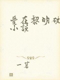爱在黎明破晓前小说