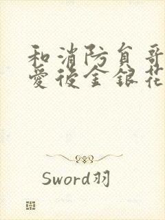 和消防员哥哥恋爱后金银花趣笔阁封面