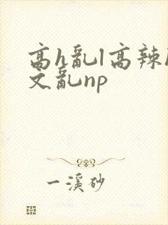 高h乱l高辣h文乱np封面
