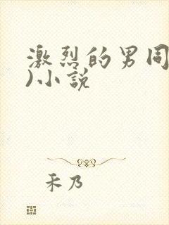 激烈的男同(h)小说