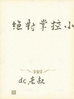 绝对掌控小说