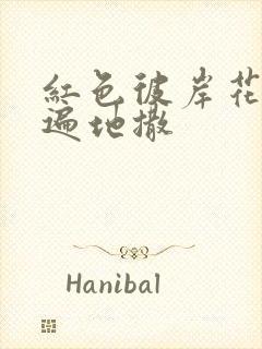 红色彼岸花花瓣遍地撒