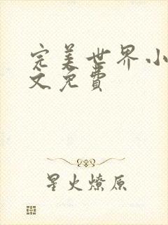 完美世界小说全文免费封面