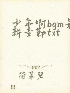 少年啊bgm最新章节txt