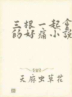 三根一起会坏掉的好痛小说