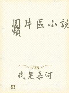 图片区小说区视频