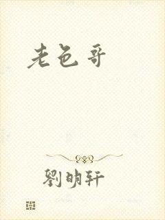 老色哥封面