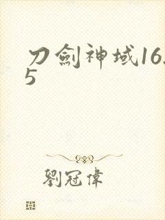 刀剑神域16.5封面