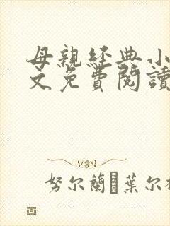 母亲经典小说全文免费阅读封面