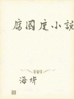 腐国度小说