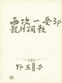 两攻一受3p双龙H调教