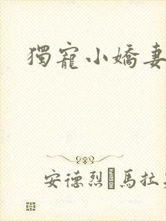 独宠小娇妻