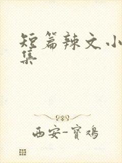 短篇辣文小说合集