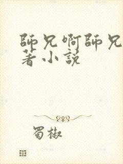 师兄啊师兄的原著小说