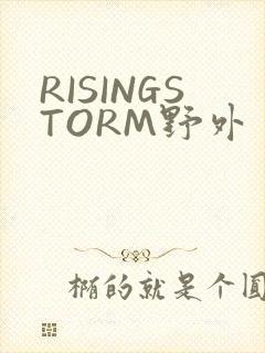 RISINGSTORM野外封面