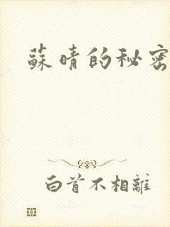 苏晴的秘密小说