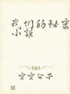 我们的秘密泰剧小说