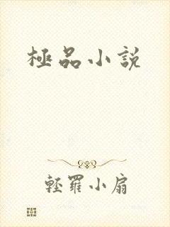 极品小说