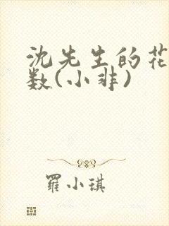 沈先生的花式调数(小非)