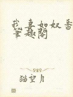 我妻如奴番外篇笔趣阁封面