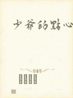 少爷的点心封面