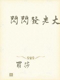 闪闪发光大团结封面