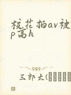 校花拍av被np高h
