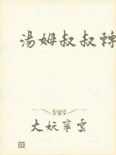 汤姆叔叔转接口