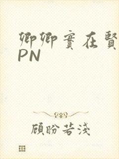 卿卿实在贤良NPN