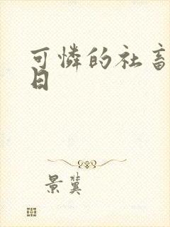 可怜的社畜东度日