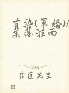 有染(军婚)/叶落淮南封面