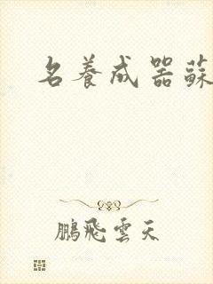 名养成器苏沫沫