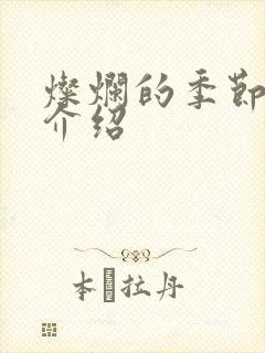 灿烂的季节剧情介绍