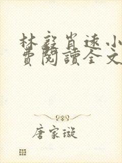 林毅肖远小说免费阅读全文最新章节