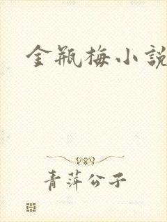 金瓶梅小说