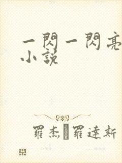 一闪一闪亮星星小说