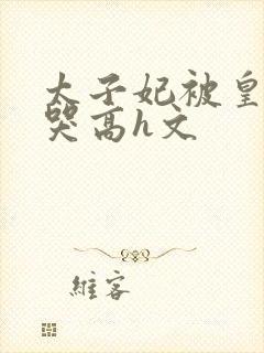 太子妃被皇上c哭高h文