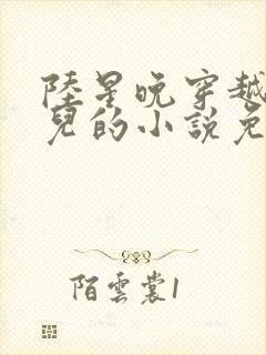 陆星晚穿越成婴儿的小说免费阅读全文