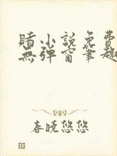 赌小说免费阅读无弹窗笔趣阁封面