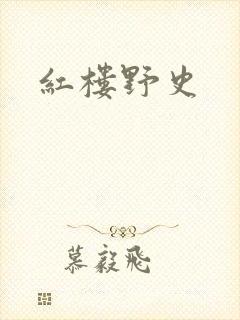 红楼野史封面