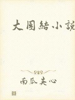 大团结小说阅读封面