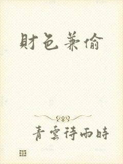财色兼偷封面