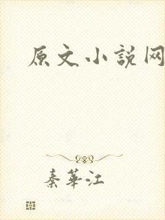 原文小说网