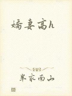 娇妻高h封面