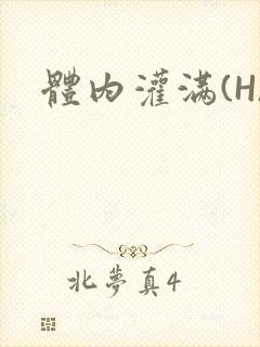 体内灌满(H)封面