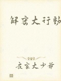 解密大行动封面