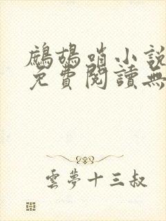 鹧鸪哨小说网站免费阅读无弹窗