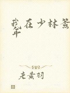 我在少林签到万年封面