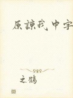 原谅我中字封面