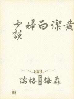 少妇白洁黄色小说